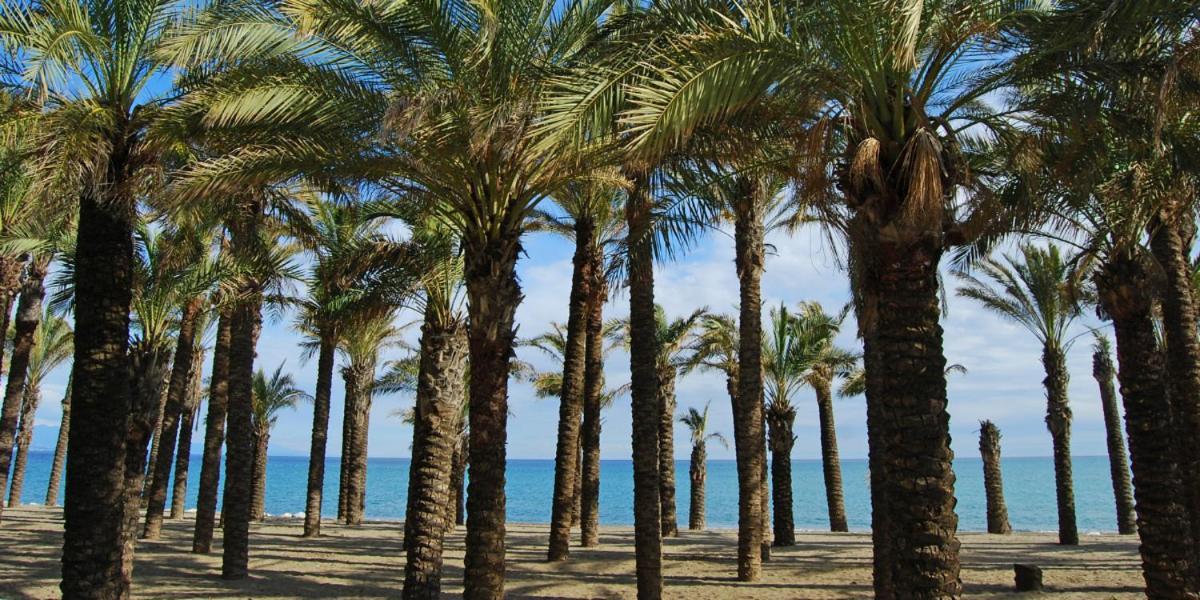 Apartamento Carole Playa Bajondillo Torremolinos Beach - Playa A 30 Segundos - Wifi - Parking - Terraza Exterior photo